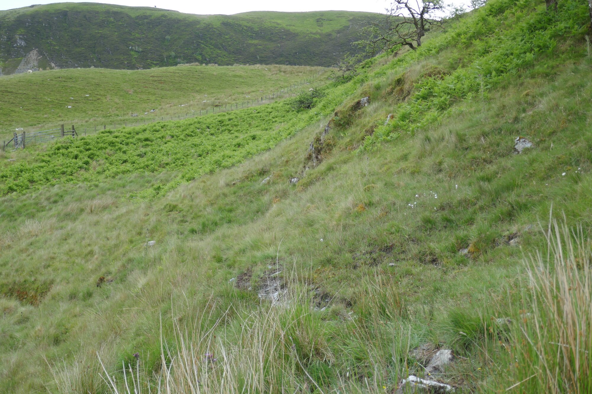 RachelSeabrook.net | Wild Walking | Cwmystwyth | pic29
